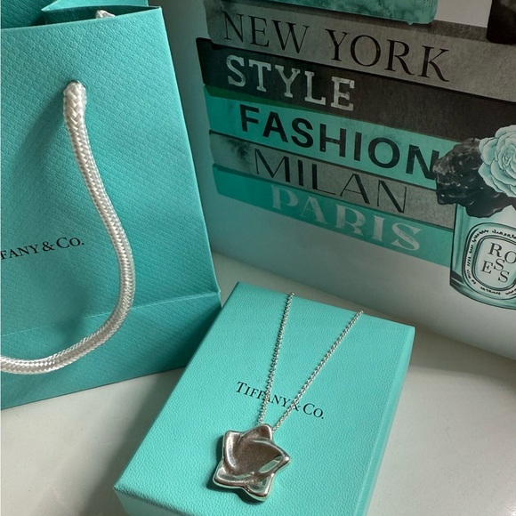 Rare Tiffany & Co. Elsa Peretti Sterling Silver Star Retired Necklace Pendant - Picture 6 of 6